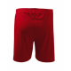 Vīriešu sporta šorti Nr. 204/2s