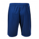 Vīriešu sporta šorti Nr.270/34